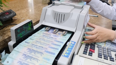 Mezibankovní úrokové sazby prudce vzrostly na 17 %, jaký je důvod?