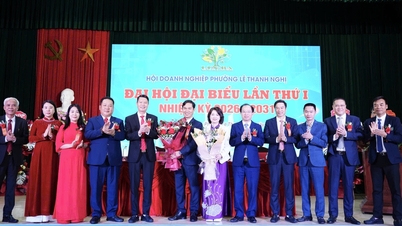 Un pilon de sprijin pentru afacerile private din Hai Phong.