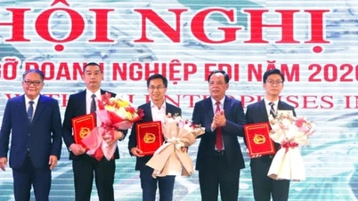 Dong Nai province grants investment certificates to 3 FDI projects with a total capital of nearly 550 million USD.