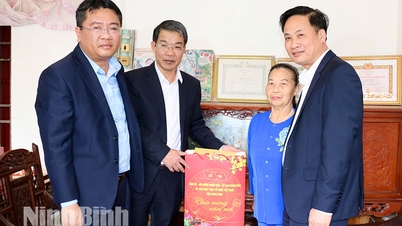 Banyak aktiviti telah dianjurkan untuk menjaga dan memastikan kebajikan sosial semasa Tahun Baru Cina Kuda.
