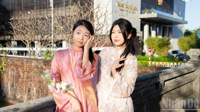 [Photo] À Da Nang, les jeunes rayonnent de l'esprit du printemps en portant des robes traditionnelles ao dai.