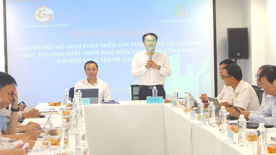 Kota Ho Chi Minh mencari solusi untuk mentransformasi model pembangunannya.