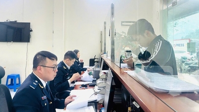 결의안 09 시행: 수입 식품 통관을 위해 세관 공무원을 24시간 연중무휴 근무시킵니다.