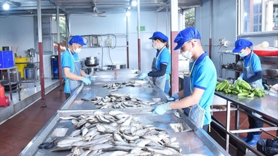 Внедрение мер по карантину продуктов питания для обеспечения безопасности во время празднования Нового года по лунному календарю.
