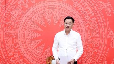 Reconstrucción de todo el nuevo espacio de desarrollo urbano de la ciudad de Da Nang.