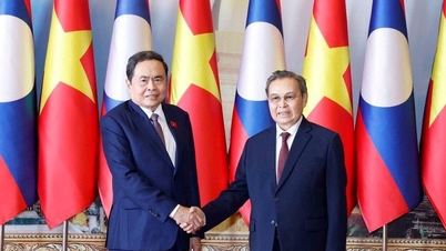 O presidente da Assembleia Nacional, Tran Thanh Man, reuniu-se com o presidente da Assembleia Nacional do Laos.