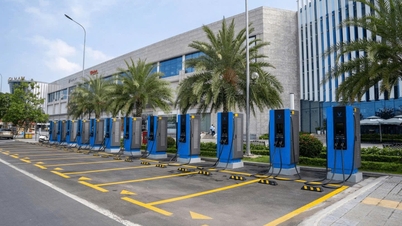 V-Green có Chủ tịch Hội đồng quản trị mới