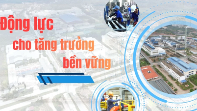 Động lực cho tăng trưởng bền vững