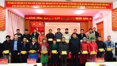 Many meaningful gifts were presented to families receiving preferential treatment and poor households on the occasion of the Lunar New Year 2026.