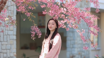 Universiti Dalat dipenuhi dengan bunga sakura, dan para pelajar serta pelancong sama-sama gembira untuk mengambil gambar.
