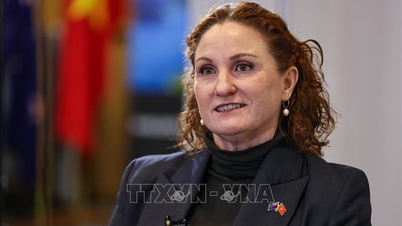 Покращені відносини між В'єтнамом і Новою Зеландією закладають основу для суттєвої співпраці.