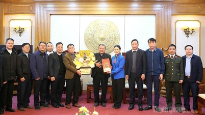 Der stellvertretende Vorsitzende des Provinzvolkskomitees, Vuong Ngoc Ha, empfing die Delegation des Bischofsamtes der Diözese Lang Son - Cao Bang.