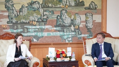 Comisia de Valori Mobiliare din Vietnam (SGD Vietnam) lucrează cu FTSE Russell la o foaie de parcurs pentru o modernizare.