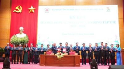 Conferința lucrătorilor din Grupul Industriei Cărbunelui și Minerale din Vietnam 2026