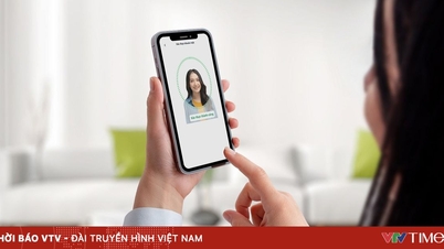 Warning: Transactions show signs of fraud.