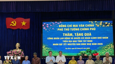 Le vice-Premier ministre Mai Van Chinh a offert des cadeaux du Têt aux travailleurs et aux personnes dans le besoin à Tay Ninh.