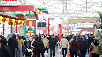 Foire de printemps 2026 : Un espace de magasinage diversifié et pratique pour les consommateurs pendant le Nouvel An lunaire.