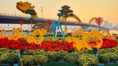 Da Nang sibuk menjelang musim pelancongan musim bunga Tahun Kuda 2026.