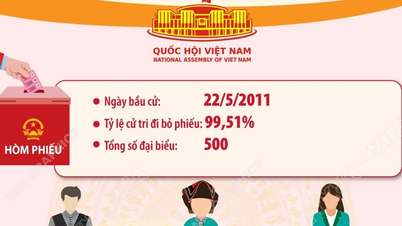 ผลการเลือกตั้งสมาชิกสภาผู้แทนราษฎรชุดที่ 13