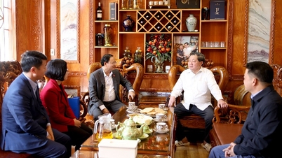 Le secrétaire provincial du parti, Le Minh Ngan, rend visite au camarade Lo Van Giang et lui présente ses vœux de Nouvel An.