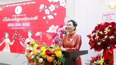 Vietnamská asociace kultury Ao Dai: Šíření identity – propojování hodnot