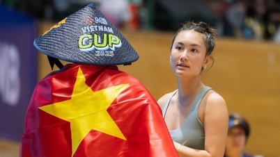 Heeft Pickleball Vietnam een ​​eigen prijs nodig?
