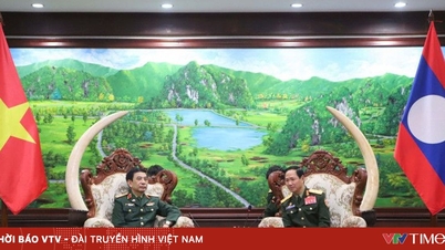 Vietnam and Laos cooperate comprehensively and substantively in defense.