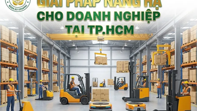 Ho Chi Minh şehrinde uygun fiyatlı vinç ve forklift kiralama çözümleri.