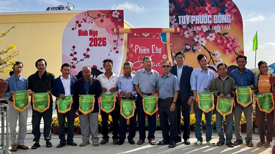 Majlis perasmian Pasar Bunga Musim Bunga Binh Ngo 2026 di komune Tuy Phuoc Dong.