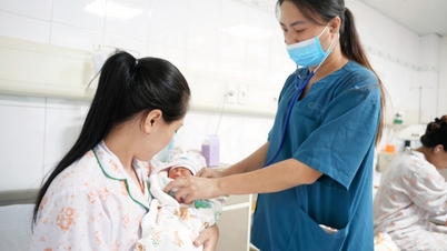 母親と子どもの健康を守ることに重点を置きます。