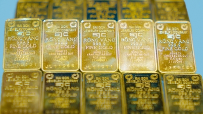 2026년 2월 6일 현재 금 가격이 급격히 하락하여 우려스러운 수준에 이르렀으며, 이러한 하락 압력은 계속되고 있습니다.