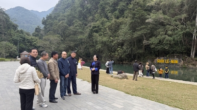 Lockelsen att uppleva "våren i bergsregionen" - Cao Bang Online Newspaper