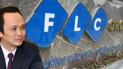 Following the reappearance of Mr. Trinh Van Quyet, FLC unexpectedly appointed a new general director.