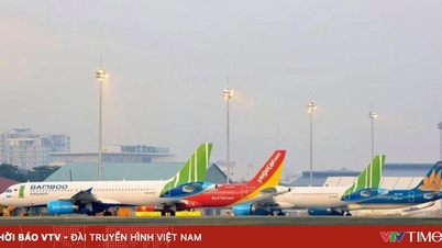 Dix-neuf avions supplémentaires seront mis en service pendant la période de pointe des fêtes du Têt en 2026.