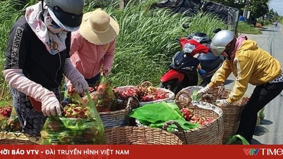 នៅដើមឆ្នាំនេះ ប្រទេសចិនបានចំណាយប្រាក់ជិត ១,៥ ពាន់លានដុល្លារទិញផលិតផលកសិកម្មរបស់វៀតណាម។