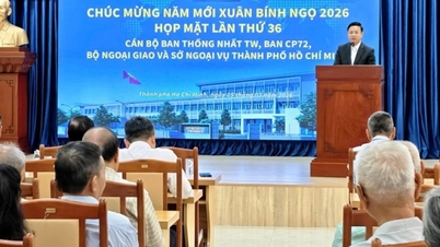 Le département des Affaires étrangères de Hô Chi Minh-Ville a organisé une réunion traditionnelle de fonctionnaires retraités pour célébrer le Nouvel An.