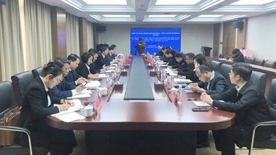 Dong Dang - Lang Son Sınır Ekonomik Bölgesi Yönetim Kurulu'ndan bir heyet, Çin'in Guangxi eyaletine bağlı Ninh Minh ilçesinde görüşmeler yaptı ve ziyaret gerçekleştirdi.