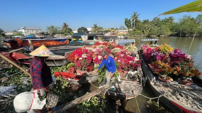 Vinh Long : Les gens affluent pour vérifier l'origine des fleurs et des plantes ornementales.