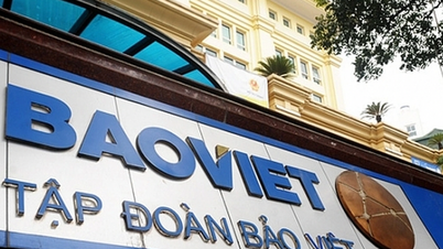 Descifrando las ganancias récord de Bao Viet Group (BVH): uso de las finanzas para nutrir su negocio "principal".
