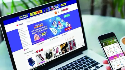 Veröffentlichung eines konsolidierten Dokuments zur Regelung der Verwaltung von E-Commerce-Aktivitäten über mobile Anwendungen.