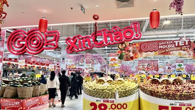 Triển khai đồng bộ các nhiệm vụ bảo đảm nguồn cung hàng hóa, xăng dầu, điện dịp Tết