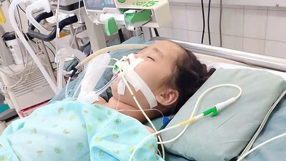 Szívszorító történet egy 12 éves, agydaganattal diagnosztizált gyermekről.