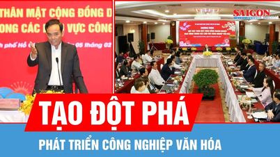 A cidade de Ho Chi Minh cria as melhores condições para que o investimento e o desenvolvimento cultural sejam convenientes e seguros.