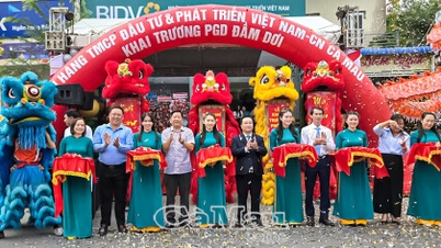 BIDV បើកការិយាល័យប្រតិបត្តិការ Dam Doi