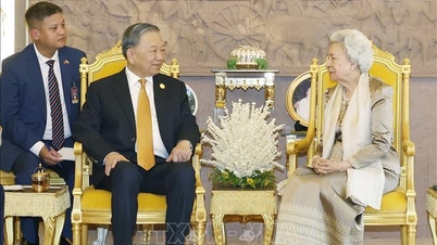 Lam főtitkára meglátogatta Norodom Monineath Sihanoukot, az anyakirálynőt