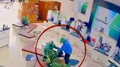 משבחים את ההישגים המדהימים של היחידות.