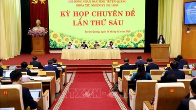 Anpassung der Provinzplanung von Tuyen Quang für den Zeitraum 2021-2030