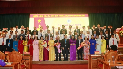 De heer Cao Van Binh bekleedt de functie van voorzitter van de Unie van Wetenschaps- en Technologieverenigingen van de provincie Gia Lai, ambtstermijn I.