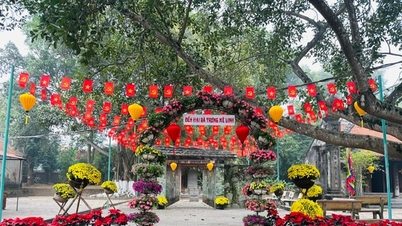 Preserving the identity of the Hai Ba Trung Temple Festival in 2026