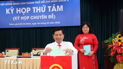 Sayın Nguyen Van Dung, Ho Chi Minh Şehri Halk Konseyi Başkan Yardımcılığına seçildi.